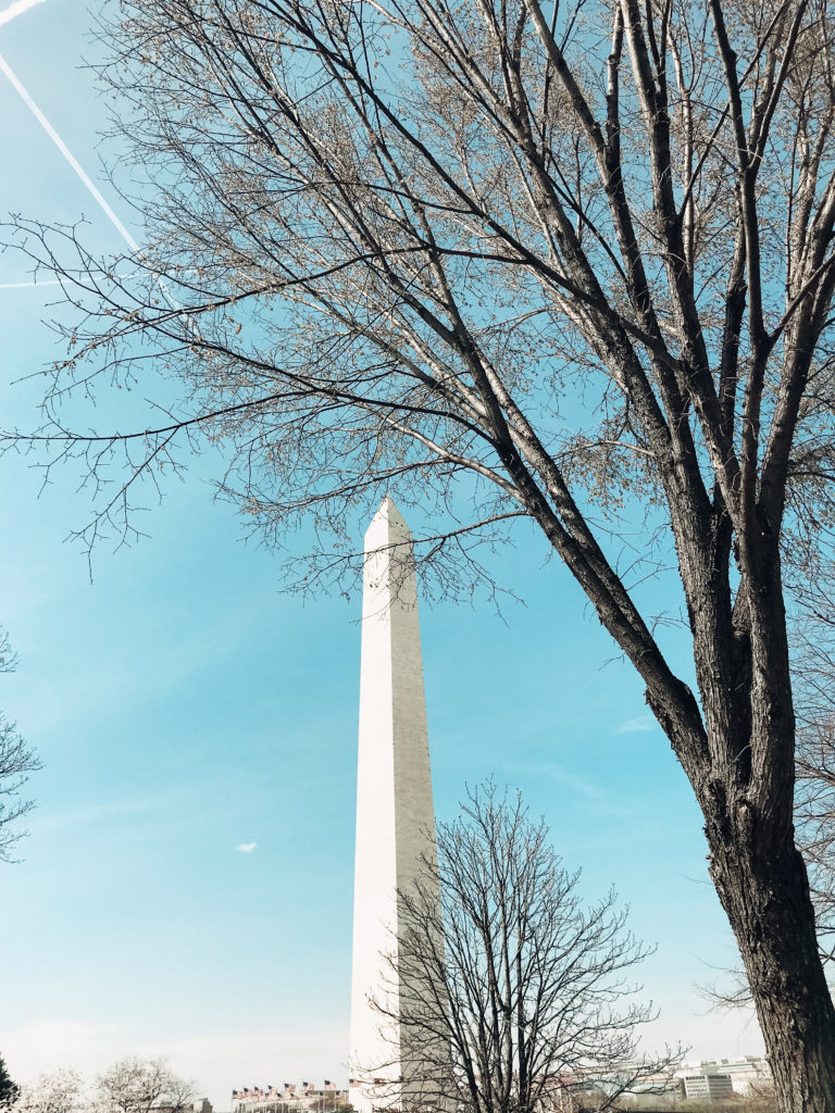Your guide to a weekend well spent in Washington DC, from famous memorials to museums to scenic photo spots for your Instagram! This Washington DC Travel Guide has you covered with my top 10 things to do on a Washington DC trip. Create the perfect itinerary for your Washington DC vacation with my recommendations for monuments, neighborhoods, Washington DC tips, things to do in Georgetown, photography locations, Washington DC outfit inspiration and more! #WashingtonDC #WashingtonDCTips