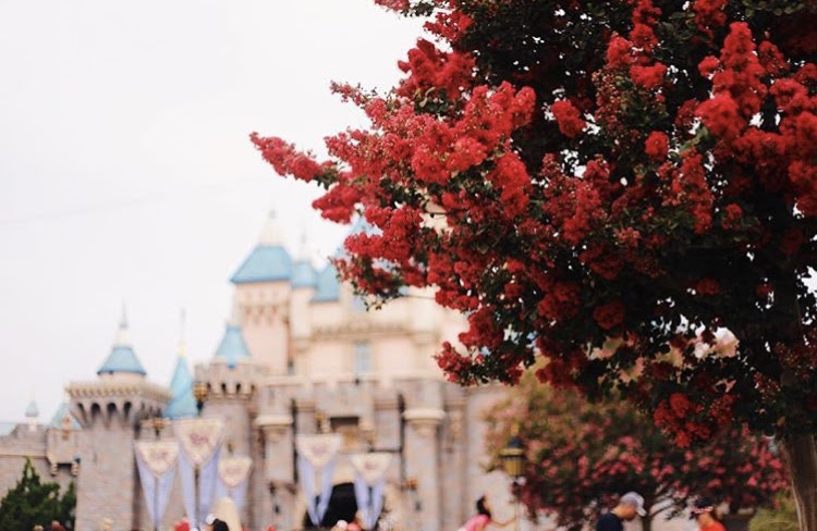The ultimate Disneyland photography guide to all my favorite Disney Instagram photo spots 🐭✨I’m sharing all of my favorite places for Disney photos in Disneyland: from classics like Sleeping Beauty Castle to hidden gems like Big Thunder Trail. Read on for all of my unique Disneyland photography ideas that will make your trip extra magical! #disneylandinstagram #disneypictures #disneylandphotos