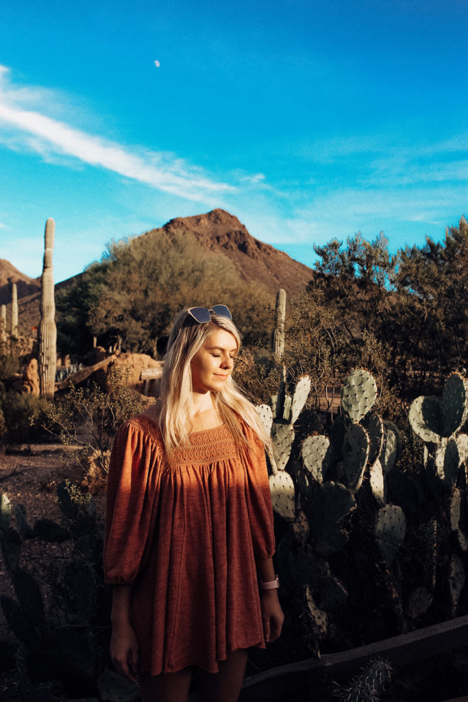 Tucson Arizona destination guide 🏜✨ All my favorite things to do in Tucson, from Saguaro National Park to Downtown Tucson to my favorite Tucson restaurants. Tucson Mountain Park and the Catalina Mountains are just a few of my favorite Tucson photography spots that I cover in this guide. Head to the blog post to read all of my Tucson favorites! #tucsonarizona #tucsonstyle #arizonatravel