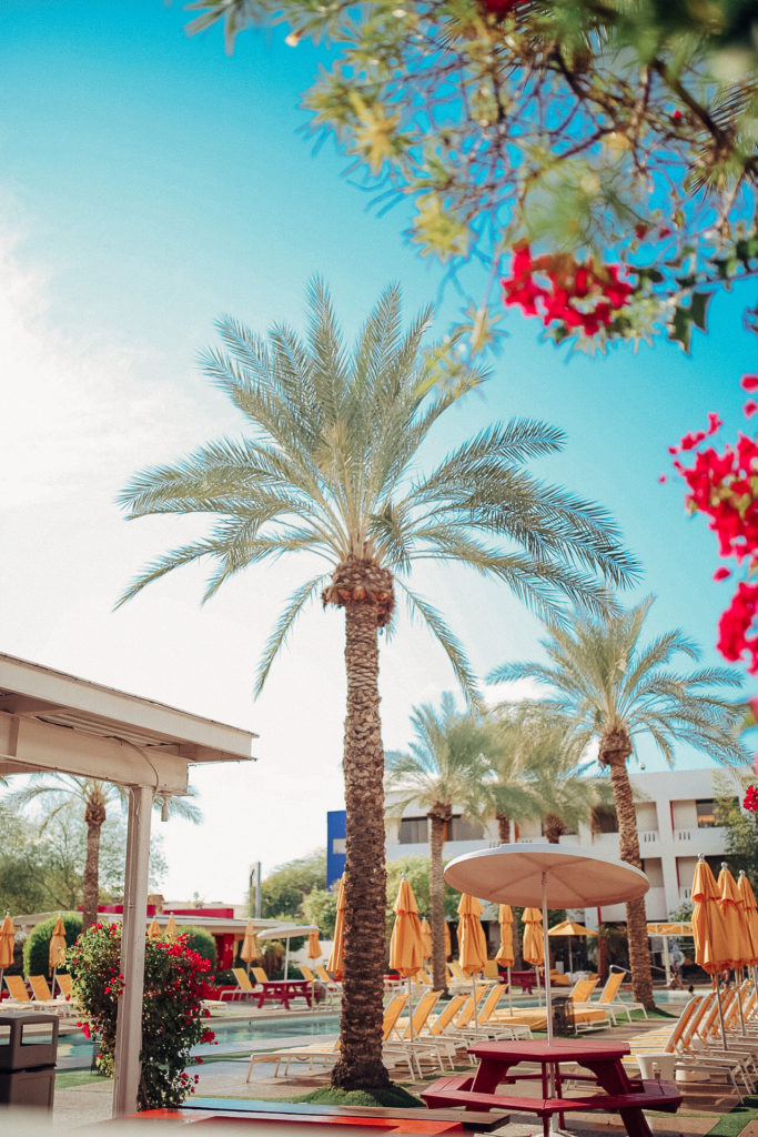 The ultimate destination guide to Scottsdale Arizona 🌵✨Sharing all of my favorite things to do in Scottsdale, from Old Town Scottsdale to the Scottsdale Quarter to the Desert Botanical Garden to my top list of Scottsdale restaurants. Wondering which Scottsdale Arizona resorts have the best spas or where the best Scottsdale photography locations are? My comprehensive guide has all the answers to make your vacation in this Arizona desert oasis relaxing and restorative. #scottsdalearizona #arizonaroadtrip #arizonatravel